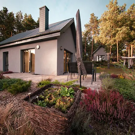 Wrzosowe Wzgorze - Afrykanski *